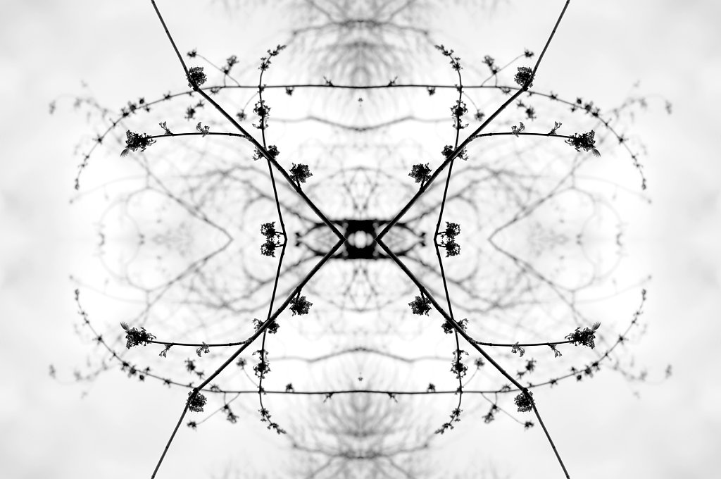 Mirror-Urbain-NATURE-7.jpg